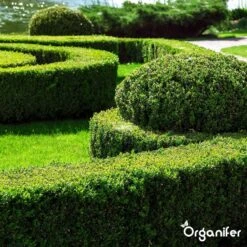 Lavameel Uit Eifel Oergesteente (20Kg Voor 200m2) Organifer -Buitentuinwinkel 1200x1200 546