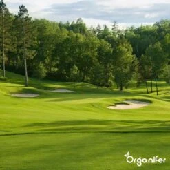 Kalk Korrel Meststof Verrijkt Met Magnesium (5Kg - Voor 100m2) Voor Dieper Bladgroen (+PH) Speciaal Voor Gazon, Perken, Moestuin En Openbaar Groen - Organifer -Buitentuinwinkel 1200x1200 560