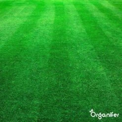 Kalk Korrel Meststof Verrijkt Met Magnesium (5Kg - Voor 100m2) Voor Dieper Bladgroen (+PH) Speciaal Voor Gazon, Perken, Moestuin En Openbaar Groen - Organifer -Buitentuinwinkel 1200x1200 565