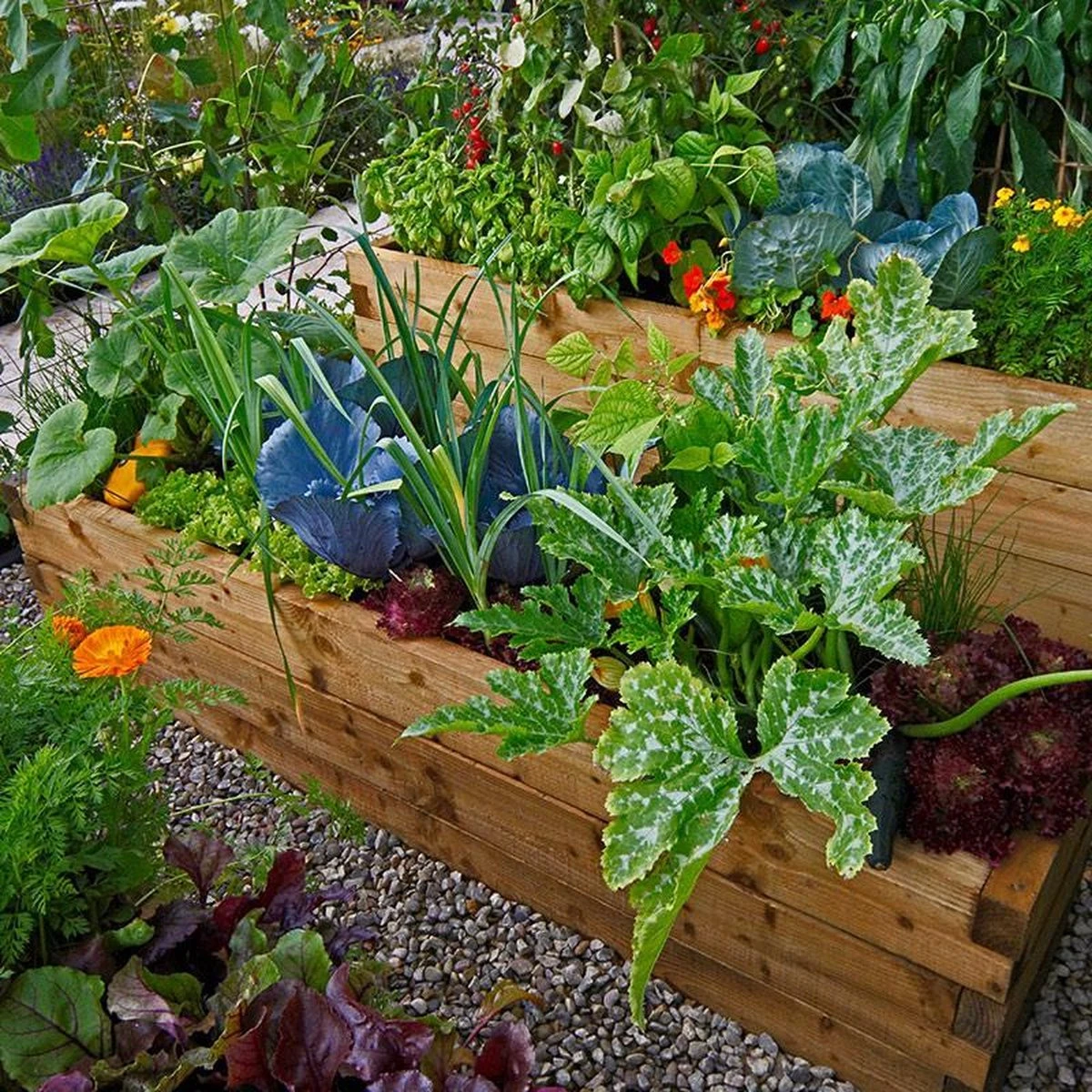 Mycorrhiza Mix Moestuin 200Gr - FungiLife Endomycorrhiza 4 Mycorrhiza Mix Moestuin 200Gr - FungiLife Endomycorrhiza - Afbeelding 2