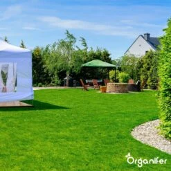 Gazonmest All-In-One (5Kg - Voor 100m2) Voor Een Diepgroen Sterk Gazon Zonder Mos En Onkruid - Complete Meststof Met Kalk En Grasversterker - Organifer 24 Gazonmest All-In-One (5Kg - Voor 100m2) Voor Een Diepgroen Sterk Gazon Zonder Mos En Onkruid - Complete Meststof Met Kalk En Grasversterker - Organifer -Buitentuinwinkel 1200x1200 583