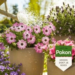 Pokon Terras & Balkonplanten Voeding - 1l - Plantenvoeding - 20ml Per 1L Water -Buitentuinwinkel 1200x1200 600