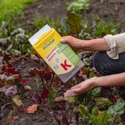 ECOStyle Vinassekali Organische Meststof - Vuor Kaliumtekort - Voor Moestuin, Siertuin En Fruit - Hoger Weerstand Tegen Droogte & Vorst - 15M² - 800 GR -Buitentuinwinkel 1200x1200 608