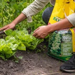 ECOStyle Moestuinmest Voor Eetbare Gewassen - Voor Fruit En Moestuin - Rijk Aan Kalium - 120 Dagen Voeding - 80 M² - 8 KG -Buitentuinwinkel 1200x1200 615