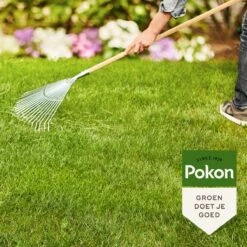 Pokon Gazonmest Met Kalk - 2 X 5kg - Mest - Geschikt Voor 2 X 75m² - 120 Dagen Voeding - Voordeelverpakking -Buitentuinwinkel 1200x1200 626