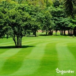 Kalk Korrel Meststof Verrijkt Met Magnesium (20Kg - Voor 400m2) Voor Dieper Bladgroen (+PH) Speciaal Voor Gazon, Perken, Moestuin En Openbaar Groen - Organifer -Buitentuinwinkel 1200x1200 642