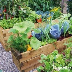 Kalk Korrel Meststof Verrijkt Met Magnesium (20Kg - Voor 400m2) Voor Dieper Bladgroen (+PH) Speciaal Voor Gazon, Perken, Moestuin En Openbaar Groen - Organifer -Buitentuinwinkel 1200x1200 645