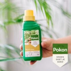 Pokon Palm Voeding - 250ml - Plantenvoeding - 10ml Per 1L Water -Buitentuinwinkel 1200x1200 650