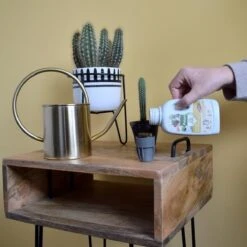 Pokon Bio Cactus & Vetplant Voeding - 250ml - Plantenvoeding (bio) - 7ml Per 1L Water -Buitentuinwinkel 1200x1200 656