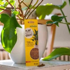 ECOstyle PlantKracht Voedingssticks - Sterke En Weerbare Potplanten - 100% Organische Planten - 120 Dagen Voeding - 30 Stuks 7 ECOstyle PlantKracht Voedingssticks - Sterke En Weerbare Potplanten - 100% Organische Planten - 120 Dagen Voeding - 30 Stuks -Buitentuinwinkel 1200x1200 658