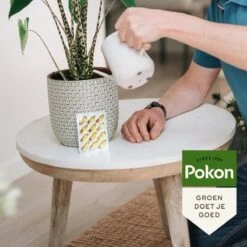 Pokon Bio Kuur Voor Weerbare En Gezonde Kamerplanten - Capsules - 12 Stuks - Geschikt Voor Alle Kamer-, Buitenplanten En Moestuin 9 Pokon Bio Kuur Voor Weerbare En Gezonde Kamerplanten - Capsules - 12 Stuks - Geschikt Voor Alle Kamer-, Buitenplanten En Moestuin -Buitentuinwinkel 1200x1200 660