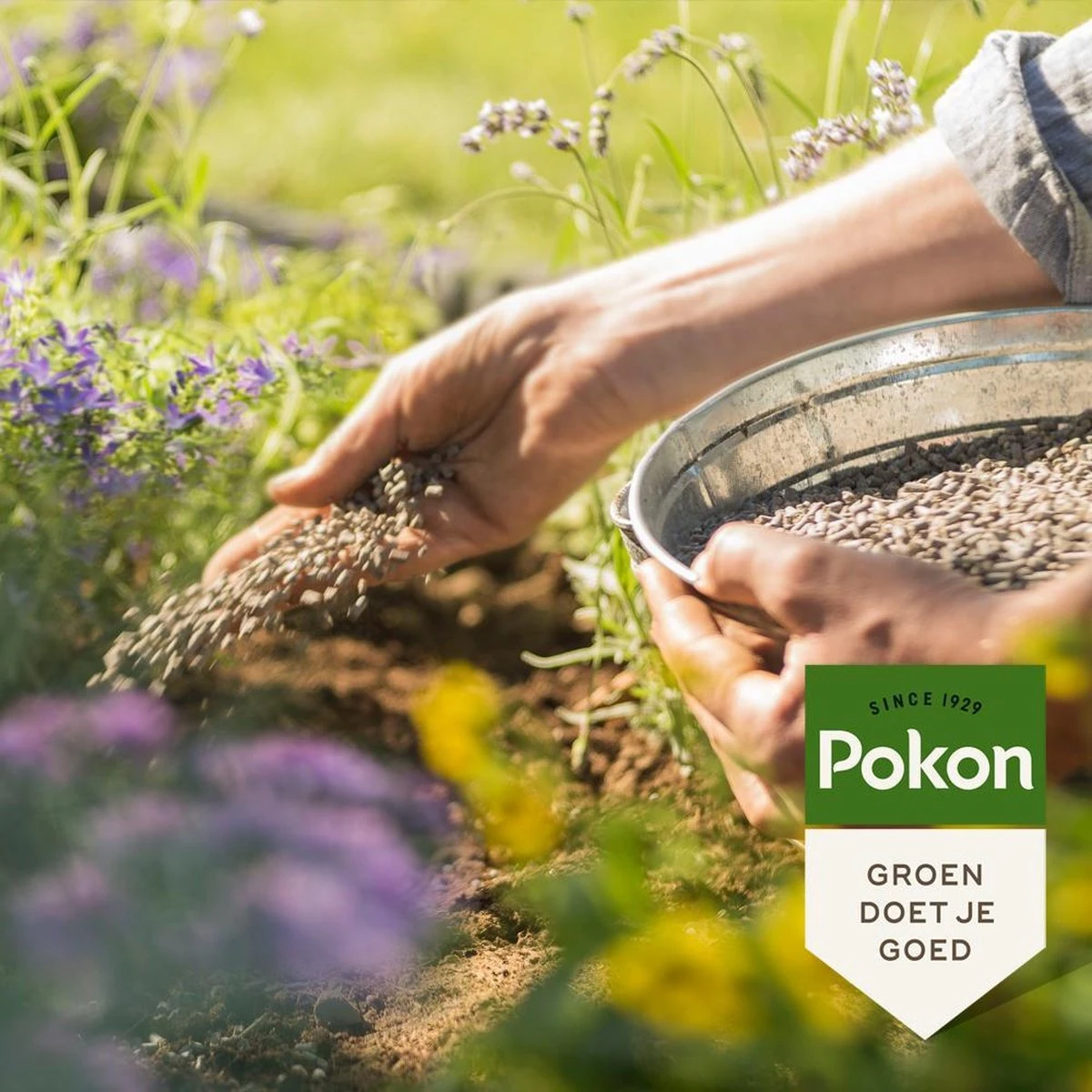 Pokon Bio Tuinmest - 5kg - Meststof (universeel) - 120 Dagen Voeding 5 Pokon Bio Tuinmest - 5kg - Meststof (universeel) - 120 Dagen Voeding - Afbeelding 3