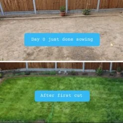 Snelwerkende Gazonmest Voor 100m² Gras | Meststof Voor Lente En Zomer | Ideaal Voor Meststofstrooier | Gazonbemesting -Buitentuinwinkel 1200x1200 684