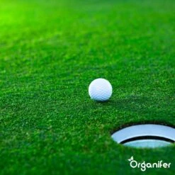 Gazonmest All-In-One (20Kg - Voor 400m2) Voor Een Diepgroen Sterk Gazon Zonder Mos En Onkruid - Complete Meststof Met Kalk En Grasversterker - Organifer 27 Gazonmest All-In-One (20Kg - Voor 400m2) Voor Een Diepgroen Sterk Gazon Zonder Mos En Onkruid - Complete Meststof Met Kalk En Grasversterker - Organifer -Buitentuinwinkel 1200x1200 697