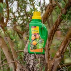 ECOstyle Citrus & Olijf Voeding - Stevige Vrucht - Langdurige Werking - Voor Alle Mediterrane Planten En Bomen 500 ML -Buitentuinwinkel 1200x1200 717