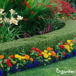 Lavagruis Uit Eifel Oergesteente (20Kg Voor 200m2) Grof Lavameel 0-2mm - Organifer -Buitentuinwinkel 1200x1200 731