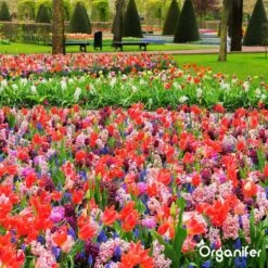 Lavagruis Uit Eifel Oergesteente (20Kg Voor 200m2) Grof Lavameel 0-2mm - Organifer -Buitentuinwinkel 1200x1200 732