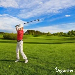 Lavagruis Uit Eifel Oergesteente (20Kg Voor 200m2) Grof Lavameel 0-2mm - Organifer -Buitentuinwinkel 1200x1200 733