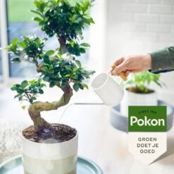 Pokon Bio Bonsai Voeding - 250ml - Plantenvoeding (bio) - 7ml Per 1L Water -Buitentuinwinkel 1200x1200 746