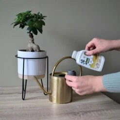 Pokon Bio Bonsai Voeding - 250ml - Plantenvoeding (bio) - 7ml Per 1L Water -Buitentuinwinkel 1200x1200 747