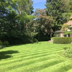 Gazonmest Met Ijzersulfaat Voor 100m²Gras | Gazon Meststof Met Ijzer | Mos Bestrijding & Gras Bemesting In Één | Ideaal Voor Meststofstrooier | Gazonbemesting -Buitentuinwinkel 1200x1200 765