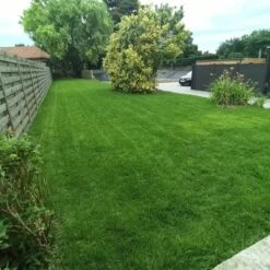 Gazonmest Met Ijzersulfaat Voor 100m²Gras | Gazon Meststof Met Ijzer | Mos Bestrijding & Gras Bemesting In Één | Ideaal Voor Meststofstrooier | Gazonbemesting -Buitentuinwinkel 1200x1200 766