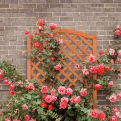 Relaxdays Plantenbak Met Klimrek - Bloembak Trellis - Rankhulp Hout - Voor Klimplanten -Buitentuinwinkel 1200x1200 778