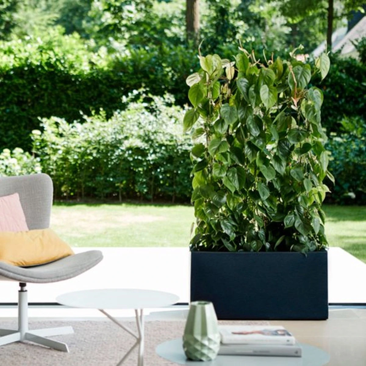 Elho Vivo Matt Finish Lang Wielen 90 - Grote Staande Plantenbak Voor Binnen & Buiten - Gemaakt Van Gereycled Plastic - L 39 X W 88 X H 41 Cm - Zwart 8 Elho Vivo Matt Finish Lang Wielen 90 - Grote Staande Plantenbak Voor Binnen & Buiten - Gemaakt Van Gereycled Plastic - L 39 X W 88 X H 41 Cm - Zwart - Afbeelding 6