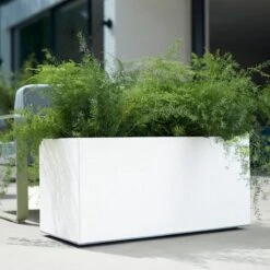 Elho Vivo Matt Finish Lang Wielen 90 - Grote Staande Plantenbak Voor Binnen & Buiten - Gemaakt Van Gereycled Plastic - L 39 X W 88 X H 41 Cm - Wit 18 Elho Vivo Matt Finish Lang Wielen 90 - Grote Staande Plantenbak Voor Binnen & Buiten - Gemaakt Van Gereycled Plastic - L 39 X W 88 X H 41 Cm - Wit -Buitentuinwinkel 1200x1200 785