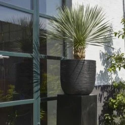 Capi Europe - Bloempot Bol Rib NL - 35x34 - Zwart - Voor Binnen En Buiten - KBLR932 -Buitentuinwinkel 1200x1200 804