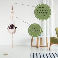 Plantenhanger - Plantenhanger Macrame - Set Van 2 - Wit - Knopen - Luxe Gevlochten Touw - Met Ophang Haken - Fienosa 10 Plantenhanger - Plantenhanger Macrame - Set Van 2 - Wit - Knopen - Luxe Gevlochten Touw - Met Ophang Haken - Fienosa -Buitentuinwinkel 1200x1200 818