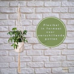 Plantenhanger - Plantenhanger Macrame - Set Van 2 - Wit - Knopen - Luxe Gevlochten Touw - Met Ophang Haken - Fienosa 11 Plantenhanger - Plantenhanger Macrame - Set Van 2 - Wit - Knopen - Luxe Gevlochten Touw - Met Ophang Haken - Fienosa -Buitentuinwinkel 1200x1200 819