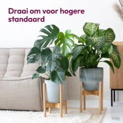 Gadgy Bamboe Plantenstandaard 2 St - Plantentafel - Plantentafeltje Voor Binnen - Plantenrek - Uitschuifbaar - Hout - Ø 20 Tot 30 Cm 18 Gadgy Bamboe Plantenstandaard 2 St - Plantentafel - Plantentafeltje Voor Binnen - Plantenrek - Uitschuifbaar - Hout - Ø 20 Tot 30 Cm -Buitentuinwinkel 1200x1200 821