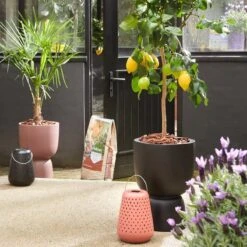 Elho Pure Coupe 35 - Bloempot Voor Binnen & Buiten - Ø 34.9 X H 49.0 Cm - Zwart/Zwart 32 Elho Pure Coupe 35 - Bloempot Voor Binnen & Buiten - Ø 34.9 X H 49.0 Cm - Zwart/Zwart -Buitentuinwinkel 1200x1200 837