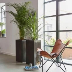 Capi Europe - Bloempot Rechthoek Smooth NL - 36x36x79 - Zwart - Voor Binnen En Buiten - KBL952 -Buitentuinwinkel 1200x1200 839