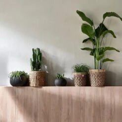 Riviera Maison Bloempot Voor Binnen Naturel - Rustic Rattan Diamond Weave Planter S -Buitentuinwinkel 1200x1200 844