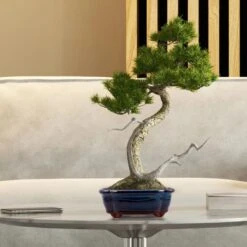 Happy Seed Keramieken Bonsai Pot (schaal) - Marine Blauw - Geglazuurd -Buitentuinwinkel 1200x1200 859