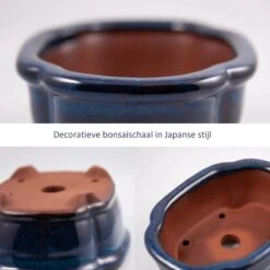 Happy Seed Keramieken Bonsai Pot (schaal) - Marine Blauw - Geglazuurd -Buitentuinwinkel 1200x1200 861