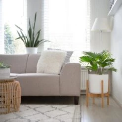 LifeGoods Planten Standaard - Uitschuifbare Bloempothouder - 20 Tot 30 Cm - Licht Bamboe -Buitentuinwinkel 1200x1200 873