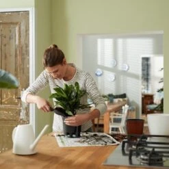 Elho Self-watering Insert 33 - Accessoires Voor Binnenaccessoires - Ø 33.3 X H 30.7 Cm - Zwart/Living Black -Buitentuinwinkel 1200x1200 901