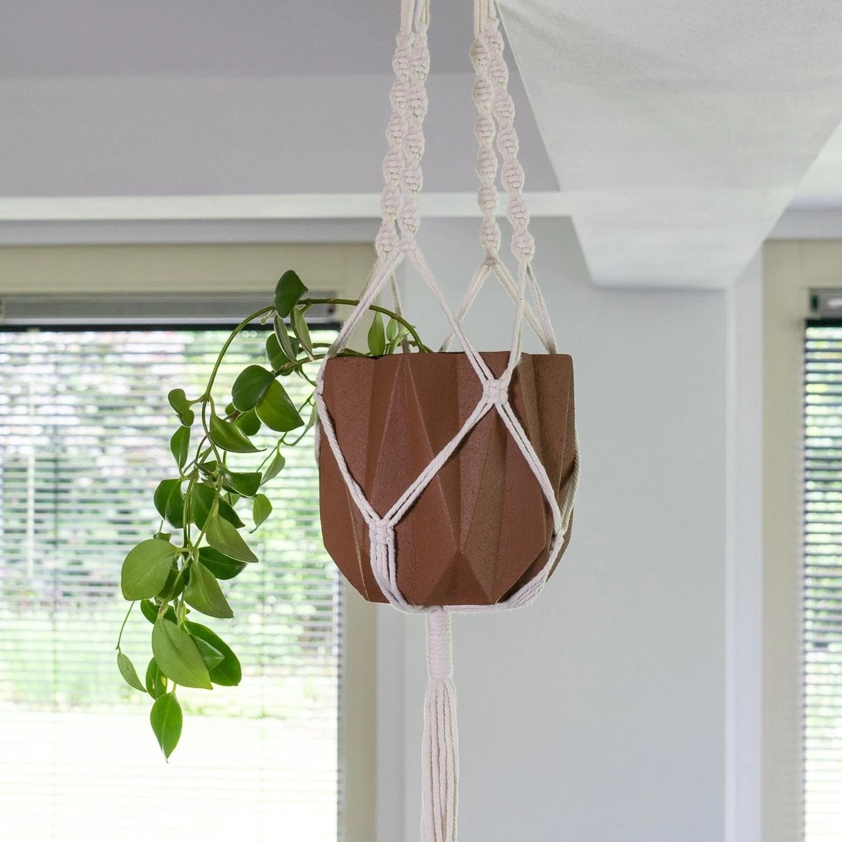 QUVIO Plantenhanger Voor Bloempot - Hangpot - Hangende Bloempot - Plantenhanger Macrame - Plantenhanger Binnen - Hangpotten - Plantenbakken - Hanging Baskets - Gevlochten Touw Met Spiralen 4 QUVIO Plantenhanger Voor Bloempot - Hangpot - Hangende Bloempot - Plantenhanger Macrame - Plantenhanger Binnen - Hangpotten - Plantenbakken - Hanging Baskets - Gevlochten Touw Met Spiralen - Afbeelding 2