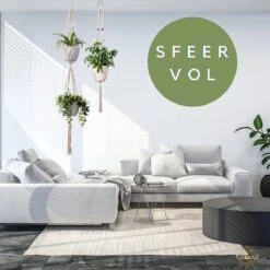 Plantenhanger Macrame Set Van 2 - Plantenhanger Met Ruimte Voor 3 Potten - Luxe Gevlochten Touw 100% Katoen - Duurzaam - Plantenbakken - Bloempotten - Macramé Stijl Hanger Voor Bloempotten - Hangpot - Fienosa -Buitentuinwinkel 1200x1200 922