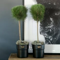 Riviera Maison Bloempot Voor Binnen Zwart - City Loft Flower Pot S -Buitentuinwinkel 1200x1200 930