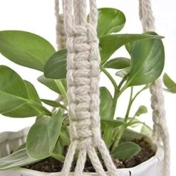4 Stuks Plantenhangers - Boho Handgeweven Katoen Hangpot Voor Binnen/Buiten - Bloempot Met Kralen - Macramé Touw/Koord Hangplant Houder - Bohemian Wandhanger Decoratie - Verticale Tuin Plant Hanger Bloempothouder Planthanger Wit -Buitentuinwinkel 1200x1200 951