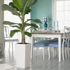 Prosperplast Kunststof Urbi Bloempot/plantenpot Met Binnenpot Wit 32 X 32 X 61 Cm - 21/49 Liter - Hoge Vierkante Bloempotten -Buitentuinwinkel 1200x1200 973