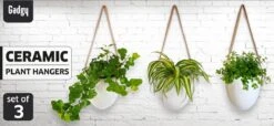 Gadgy Plantenhanger Keramiek - Set Van 3 - Hangpot Van Wit Steen - Hangende Bloempot Plantenpot - Met 3 Verschillende Koorden - 12x11x9.5CM 18 Gadgy Plantenhanger Keramiek - Set Van 3 - Hangpot Van Wit Steen - Hangende Bloempot Plantenpot - Met 3 Verschillende Koorden - 12x11x9.5CM -Buitentuinwinkel 1200x552 1