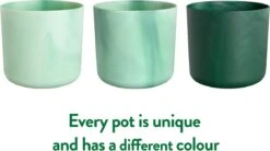 Elho The Ocean Collection Round 22cm - Bloempot Voor Binnen - 100% Gerecycled Materiaal - Gemaakt Met Zeeafval - Ø 22.3 X H 20.4 Cm - Pacifisch Groen 22 Elho The Ocean Collection Round 22cm - Bloempot Voor Binnen - 100% Gerecycled Materiaal - Gemaakt Met Zeeafval - Ø 22.3 X H 20.4 Cm - Pacifisch Groen -Buitentuinwinkel 1200x670 1