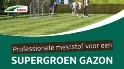 DCM Vital-Green Gazon - Gazonmest - Gazonmeststof Met MINIGRAN® Technology - 75m2 - 3 Kg -Buitentuinwinkel 1200x675 14