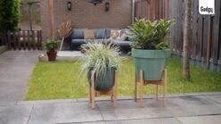 Gadgy Bamboe Plantenstandaard 2 St - Plantentafel - Plantentafeltje Voor Binnen - Plantenrek - Uitschuifbaar - Hout - Ø 20 Tot 30 Cm 16 Gadgy Bamboe Plantenstandaard 2 St - Plantentafel - Plantentafeltje Voor Binnen - Plantenrek - Uitschuifbaar - Hout - Ø 20 Tot 30 Cm -Buitentuinwinkel 1200x675 15