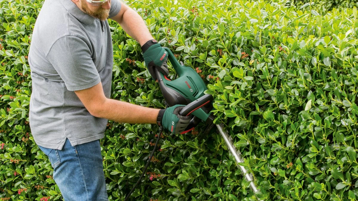 Bosch UniversalHedgeCut 60 Heggenschaar - Op Snoer - Lengte 60 Cm 11 Bosch UniversalHedgeCut 60 Heggenschaar - Op Snoer - Lengte 60 Cm - Afbeelding 9